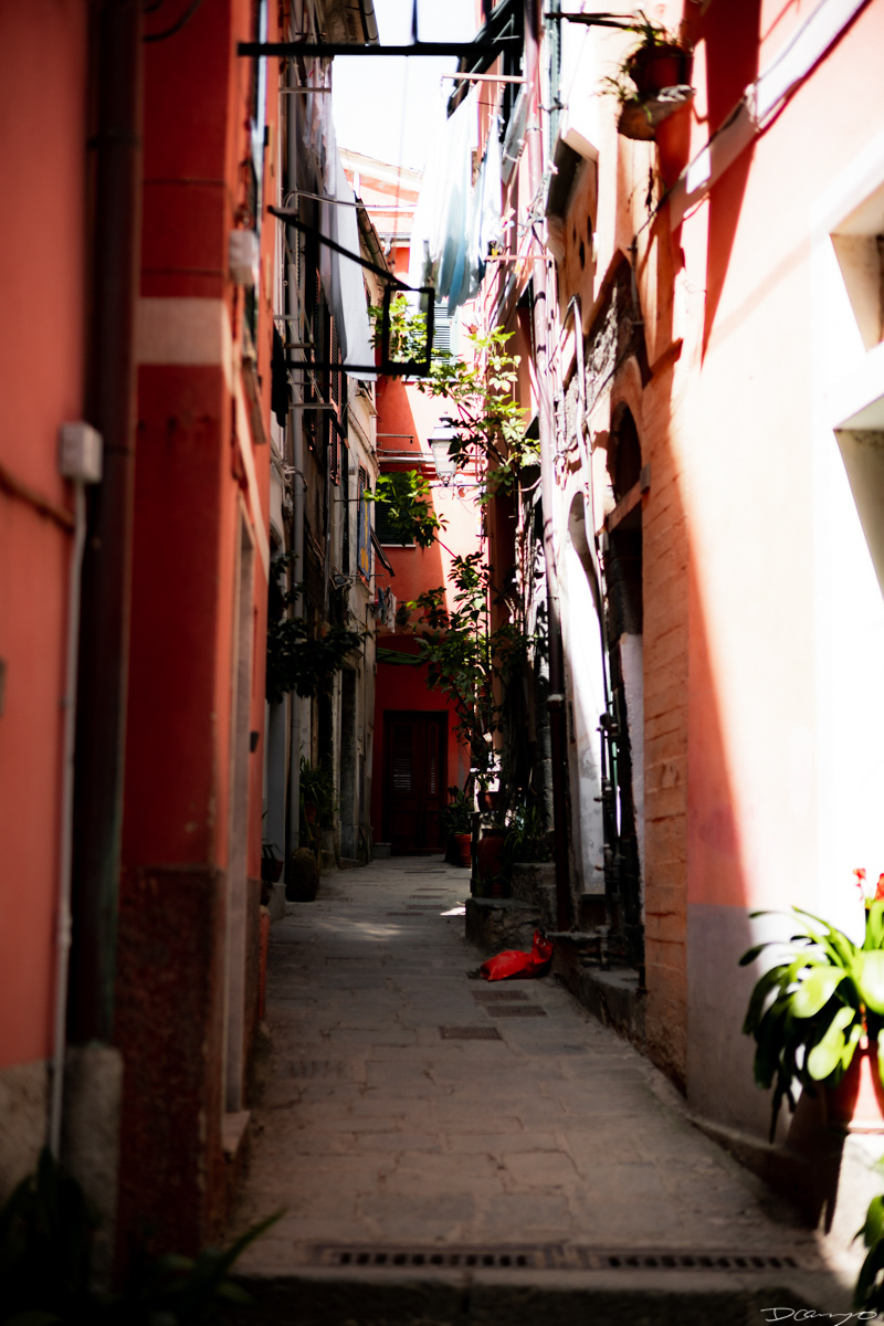 Photos from Rome, Venice, Florence, Tuscany, Manarola, Vernazza, Riomaggiore, Verona, Trento, and the Italian Alps in Spring of 2022.